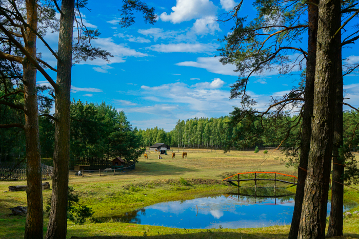 widok ogólny na teren obozów i kolonii